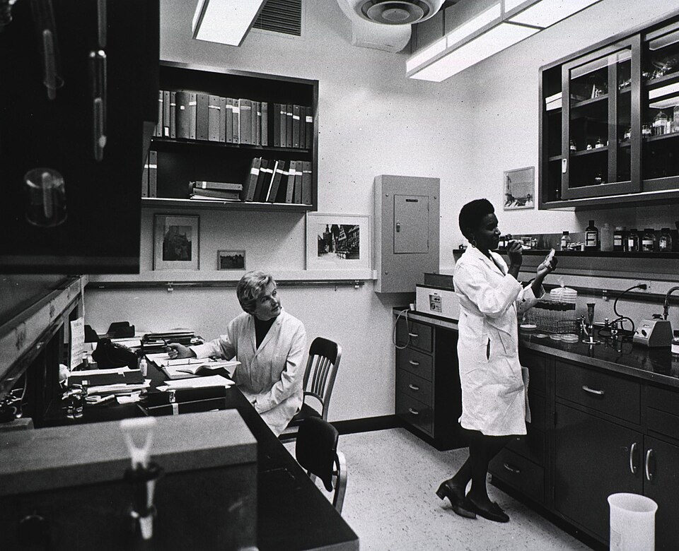 Two scientists at work in a molecular biology laboratory